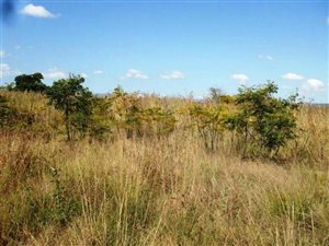 1.2 ha Land available in Lydenburg