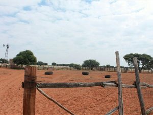 258.5 ha Smallholding in Kimberley