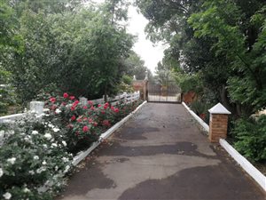 4 Bedroom House in Rispark
