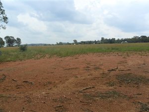 1 ha Land available in Walkerville