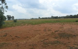 1 ha Land available in Walkerville
