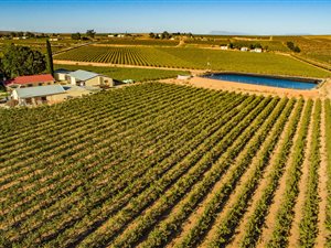 241 ha Farm in Vredendal