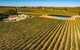 241 ha Farm in Vredendal