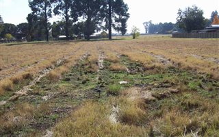 744 m² Land available in Klipwater