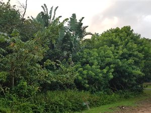 1415 m² Land available in Munster