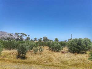 496 m² Land available in Gustrouw