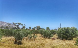 496 m² Land available in Gustrouw