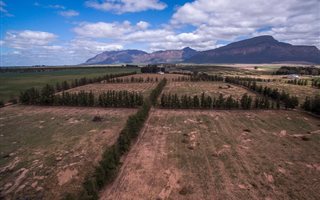 1376 ha Farm in Piketberg