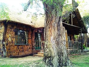 Game Farm in Bela-Bela (Warmbaths)