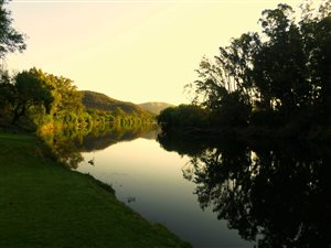 136 ha Farm in Parys