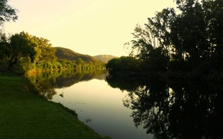 136 ha Farm in Parys