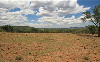 21 ha Farm in Modimole (Nylstroom)