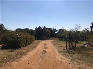 1 ha Farm in Monavoni