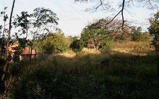 2406 m² Land available in Crestview
