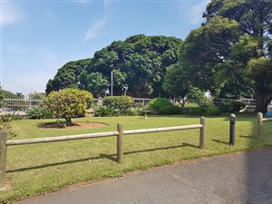 1 Bed Apartment in Morningside