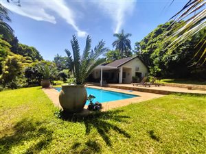 4 Bed House in ZSM Industrial