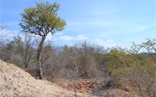 3514 m² Land available in Blyde Wildlife Estate
