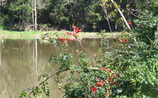 2.7 ha Farm in Plettenberg Bay