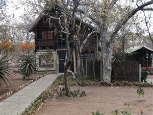 43 ha Farm in Tzaneen