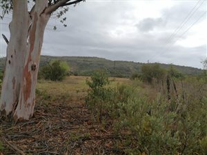 22 ha Farm in Pretoria West
