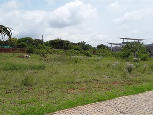 5000 m² Land available in Zwavelpoort