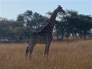 2.2 ha Land available in Wild Fig Estate