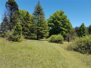 5.8 ha Farm in Rosetta