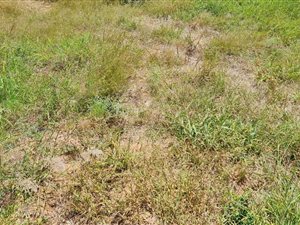 663 m² Land available in Bendor