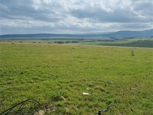 2.4 ha Land available in Hutten Heights