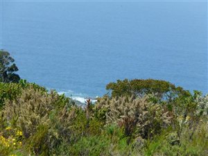 4153 m² Land available in Pezula Private Estate