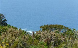 4153 m² Land available in Pezula Private Estate