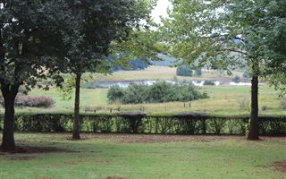 21.4 ha Farm in Currys Post