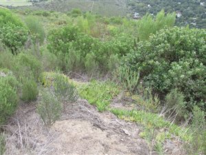 13 m² Land available in Brenton on Sea