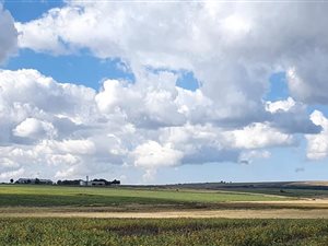 700 ha Farm in Belfast