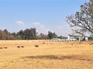 1 ha Land available in Kyalami AH