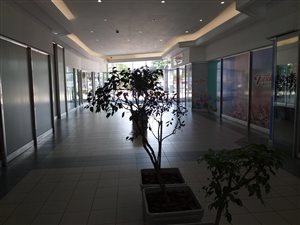 105 m² Commercial space in Essenwood