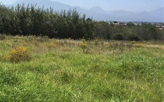 5123 m² Land available in Pacaltsdorp