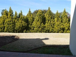 3 Bed House in Upington