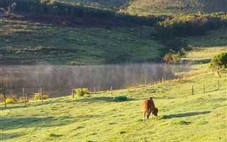 450 ha Farmland in South End