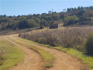 180 ha Farm in Middelburg Central
