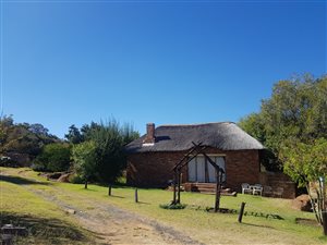 180 ha Farm in Middelburg Central