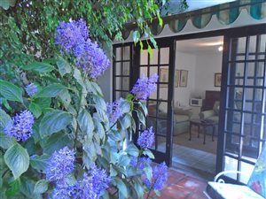 1 Bedroom Garden Cottage in Parktown North