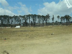 8883 m² Land available in Reyno Ridge