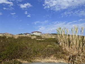 750 m² Land available in Port Alfred