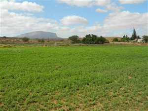 6.3 ha Farm in Vanrhynsdorp