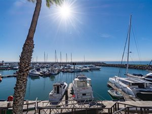 4 Bed Apartment in Mouille Point