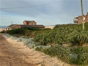 687 m² Land available in Oyster Bay