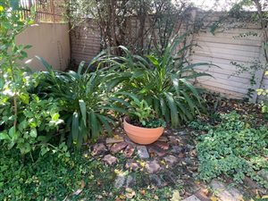2 Bed Townhouse in Parys