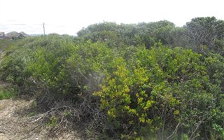 834 m² Land available in Gouritsmond