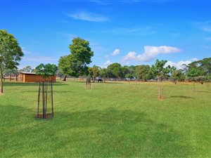 2.5 ha Farm in Protea Ridge